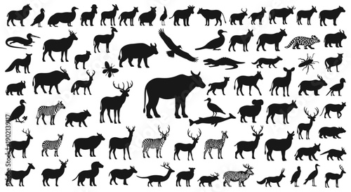 A comprehensive collection of diverse animal silhouettes, showcasing a wide variety of species in various poses and sizes.