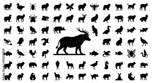 A comprehensive collection of black animal silhouettes, showcasing a diverse range of species from mammals to birds and insects.