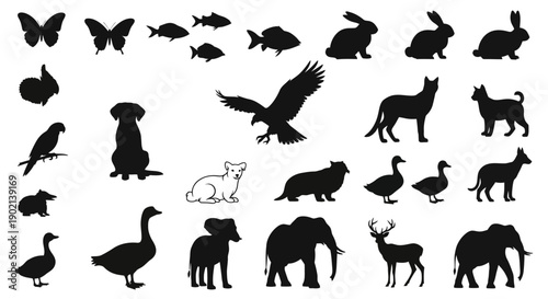 A collection of diverse animal silhouettes, including mammals, birds, fish, and insects, presented in a clean, graphic style.