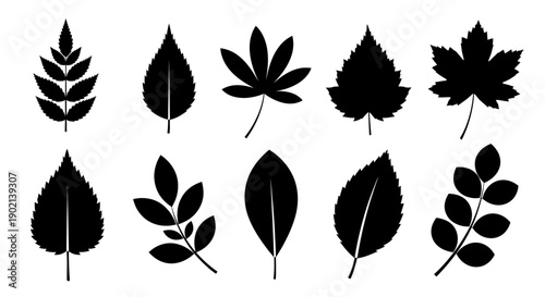 A collection of black silhouettes of various types of leaves, showcasing different shapes and patterns.