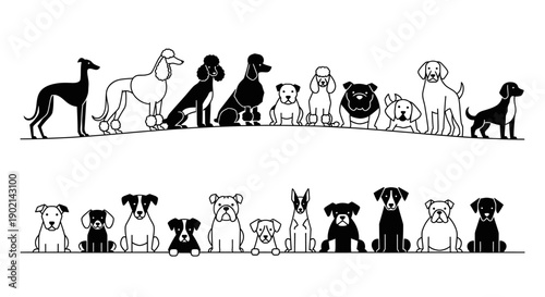 A collection of diverse dog breeds illustrated in a simple, clean, black and white line art style, showcasing various sizes and shapes.