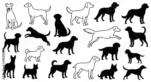 A collection of diverse dog silhouettes and line drawings showcasing various breeds and poses.