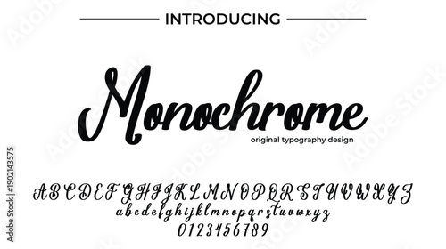 Monochrome - Elegant Script Font for Smooth Handwritten Design and Creative Typography
