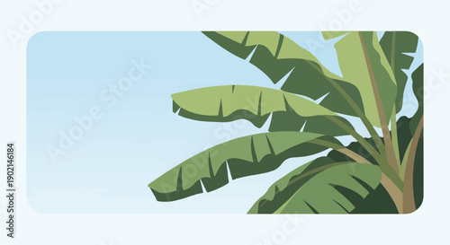 Lush green banana leaves against a soft blue sky