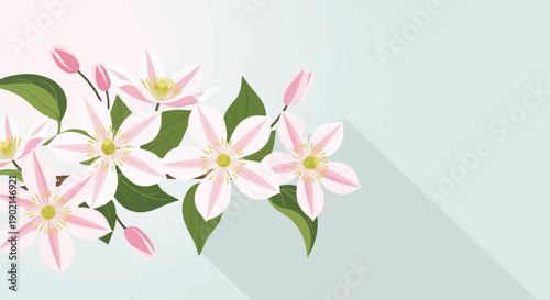 Light pink flowers with green leaves and soft shadows on a pale blue background