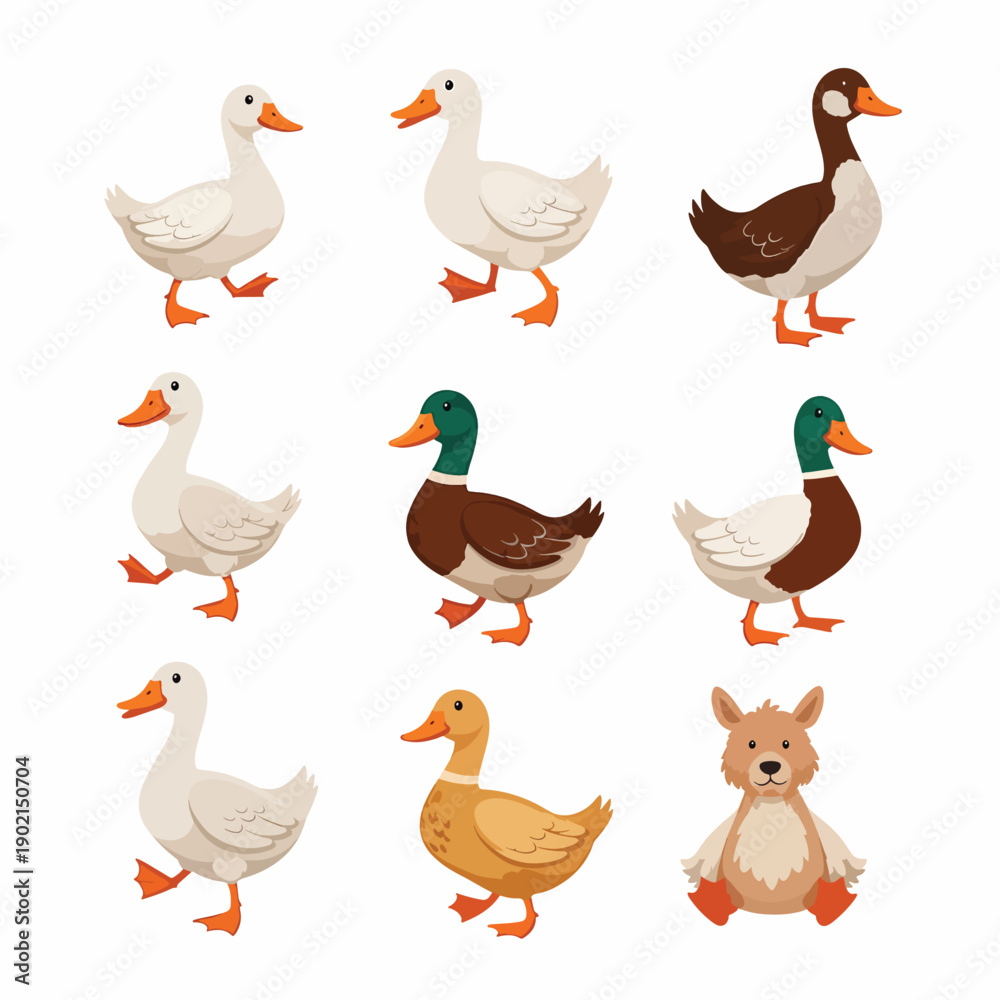 Fototapeta premium Cartoon Ducks and Rabbit Set