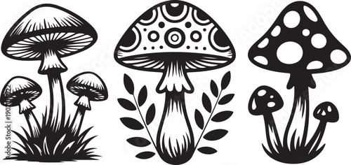 black and white illustration of various mushroom types and leaves