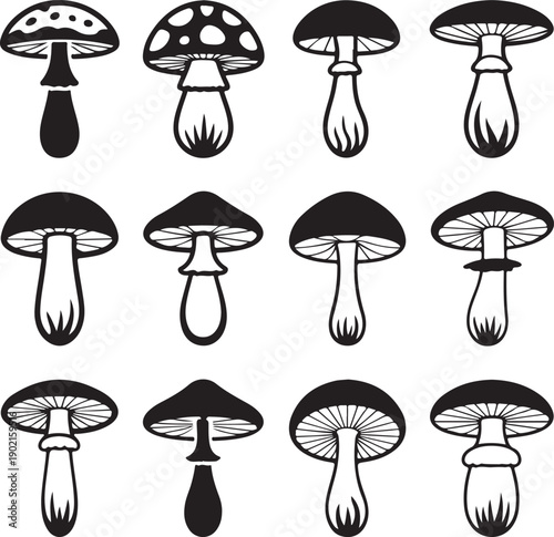 black and white mushroom illustrations