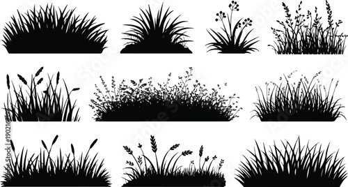 Collection of black silhouette grass and plants nature elements for design isolated on white background