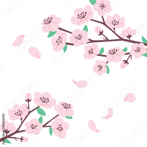 Cherry blossom branch vector object