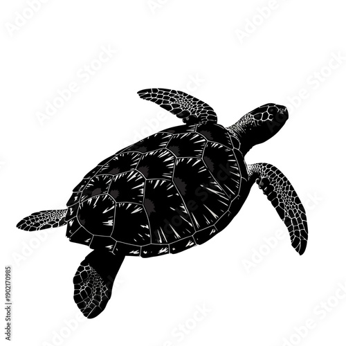 Detailed illustration of a sea turtle swimming gracefully in clear water, isolated on a white background.