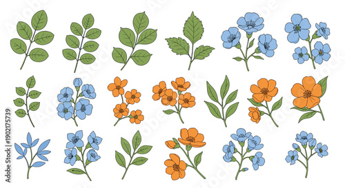 Decorative set of botanical illustrations including various leaf stems and clusters of bright blue and orange flowers.