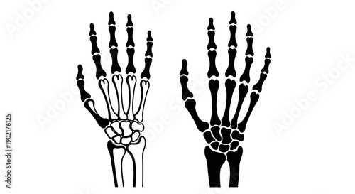 Two skeletal hands, one outlined and one solid, illustrating human anatomy.
