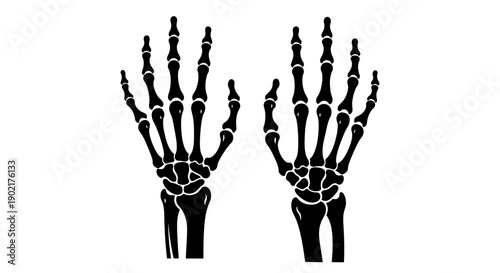 Detailed black silhouette illustration of two human skeleton hands showing bones and joints on a white background.