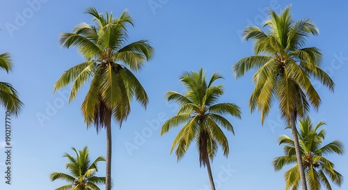 Wallpaper Mural Palm Trees Against a Clear Blue Sky - A Tropical Paradise. Torontodigital.ca