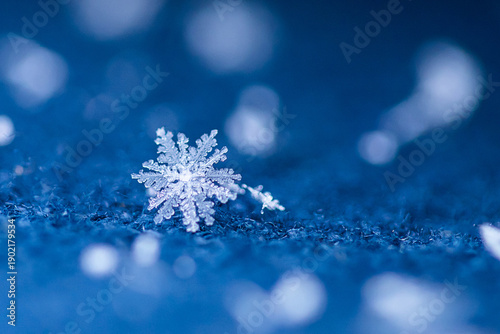 Tableau sur toile Delicate Snowflake Resting Gently on a Vibrant Blue Background, Capturing the Es