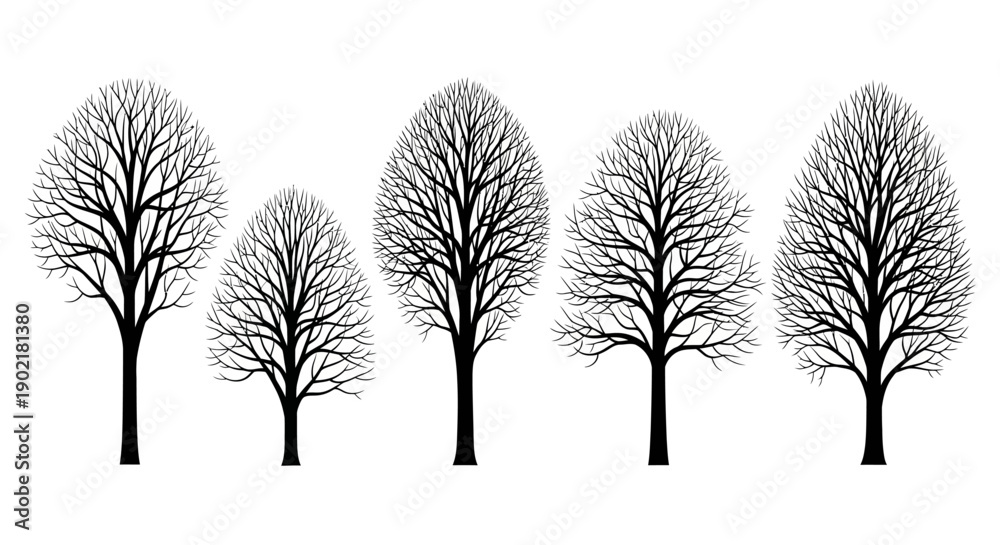 Fototapeta premium A collection of five bare deciduous trees with intricate branch structures, silhouetted against a white background.