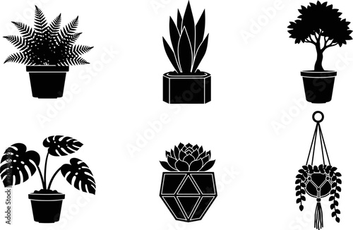 Collection of six potted houseplants in silhouette, including fern, monstera, and succulent