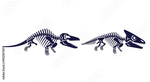 Two detailed dinosaur skeletons, a Spinosaurus and a Triceratops, depicted in dark blue on a white background.