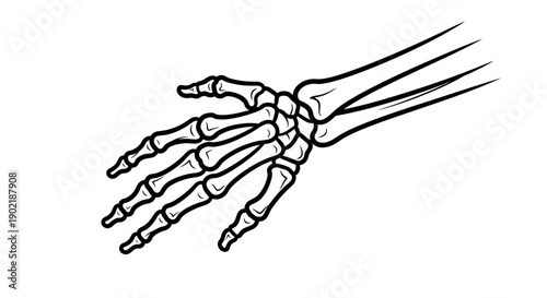 Detailed black and white line drawing of a human skeletal hand and forearm bones, illustrating anatomy.