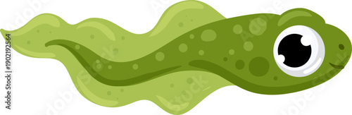 Green tadpole swimming showing concept of early life