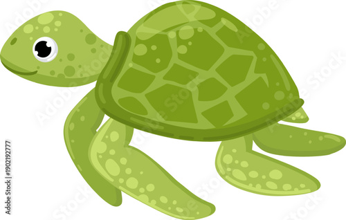 Green sea turtle character swimming underwater illustration
