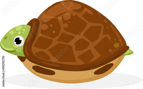 Cute cartoon turtle peeking head from shell