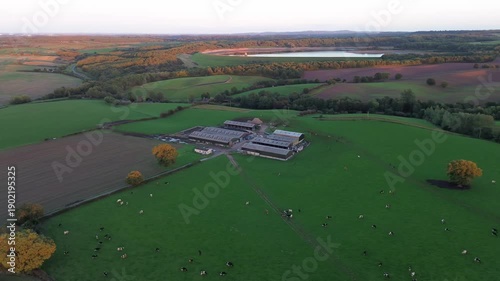Drone aerial footage panning around a rural cow farm in Derbyshire, England, showing fields and cattle for agriculture, rural business, sustainability, travel, and countryside establishing shots.