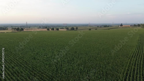 Aerial drone footage pushing in over wheat fields in Derbyshire, England, ideal for agriculture, food production, rural business, sustainability, and countryside establishing or background use.