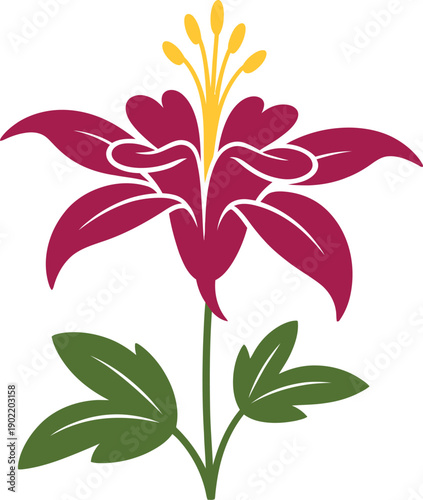 Vibrant magenta lily flower with green leaves illustration