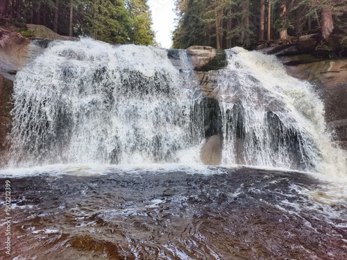 flowing water shapes tranquil natural scene, juxtaposition of energetic waterfall and serene pond environment