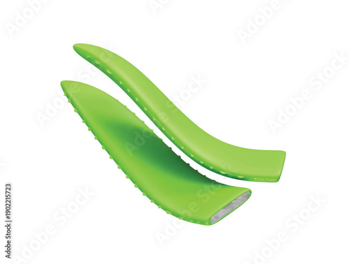 Green Aloe Vera Leaves icon 3d rendering illustration