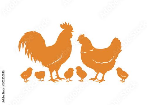 White backdrop featuring a colorful vector collage of chickens


