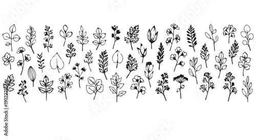 Collection of hand drawn black and white flowers, leaves, and plants on Transparent Background for design and decoration.