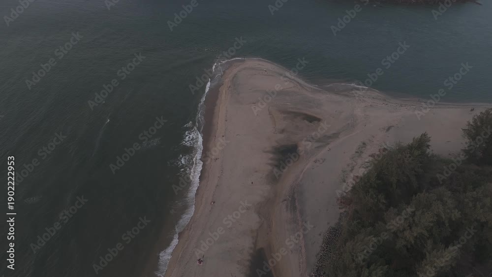 custom made wallpaper toronto digitalTop-down abstract aerial close-up of Querim Beach, North Goa, revealing white sand patterned with coastal plants and gentle waves, creating a serene tropical shoreline texture