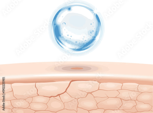 Isolated a realistic Moisturizing particle above dry skin surface, hyaluronic acid concept. vector art with white background..