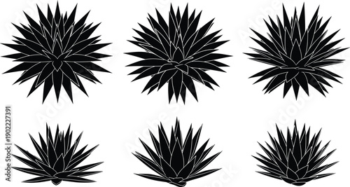 Black agave and yucca plant silhouette set, sharp spiky desert foliage shapes, minimal botanical vector illustration for logos, decor, branding and graphic design