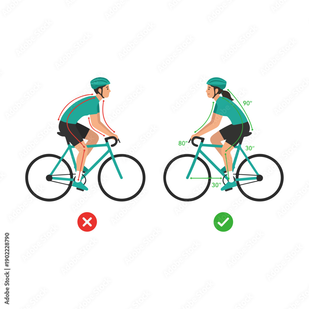 Obraz premium Cyclist Riding Bicycle Correct and Incorrect Posture.
