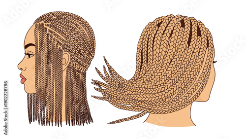 Two illustrations showing different perspectives of a woman with long brown box braids hairstyles in a clean modern art style.
