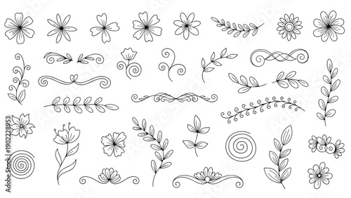 Diverse collection of delicate black and white hand drawn floral doodles, leaves, dividers, and decorative botanic design elements.