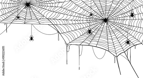 Spooky Black Spiderwebs with Dripping Cobwebs and Spiders on White Background