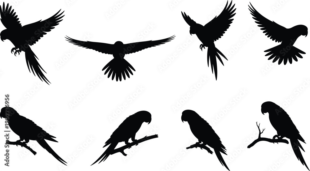 Obraz premium Silhouettes of parrots flying and perched on branches, bird illustration showing diverse poses, tropical wildlife design, exotic animal artwork, and ornithology concept