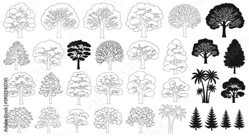 Collection of various tree illustrations, including deciduous, coniferous, and palm trees, presented in both outline and silhouette styles.