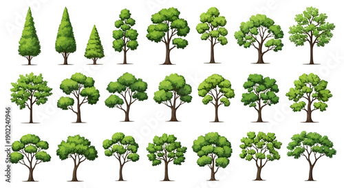 A collection of diverse green trees with full foliage, showcasing various shapes and sizes, set against a white background.