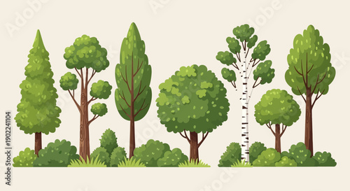 A collection of various green trees and bushes in a row, showcasing different shapes and sizes of foliage and trunks.
