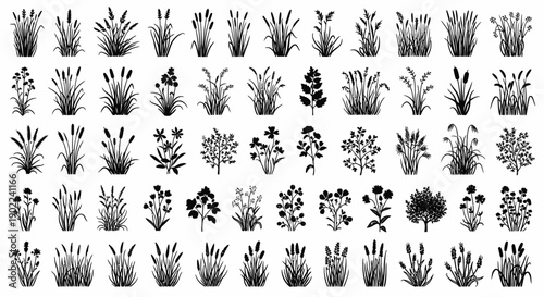 Collection of various black and white illustrations of plants and grasses, showcasing diverse botanical forms and textures.