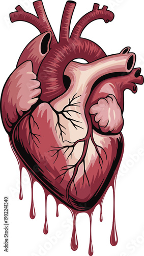 Heart Detailed Anatomical with Blood Drops
