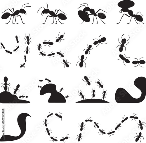 black silhouettes of ants on white background