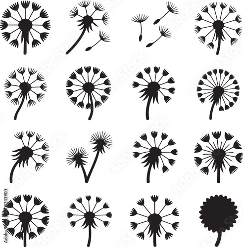 black silhouettes of dandelions on white background