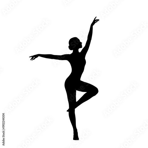 Elegant Silhouette of a Ballerina Dancing Gracefully in Motion.